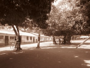 IMG_4562